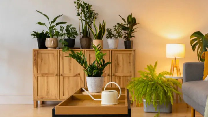 2025 Home Decor Trends You’ll Love — Is Biophilic Design Still In?