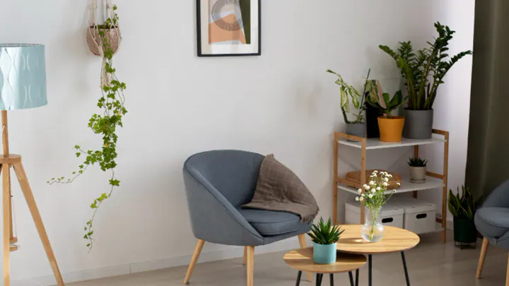 Embrace Minimalist Living: Declutter Your Space and Mind!