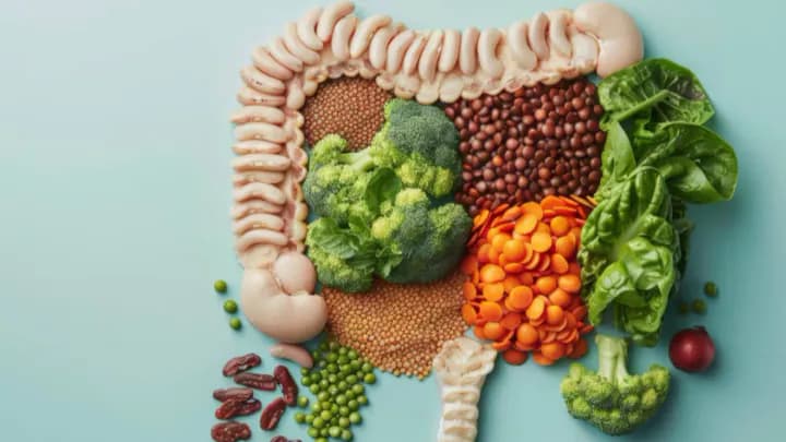 Gut Health Secrets: How to Heal Your Body from the Inside Out?