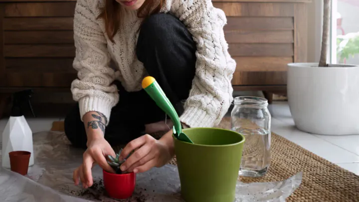 🌱 How to Compost Waste: Step-by-Step Guide to Garden Gold!