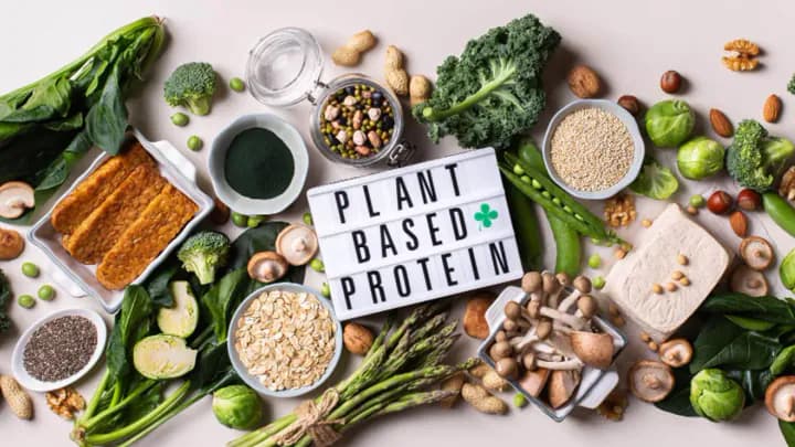 Plant-Based Protein: Top Sources for a Meatless Diet!